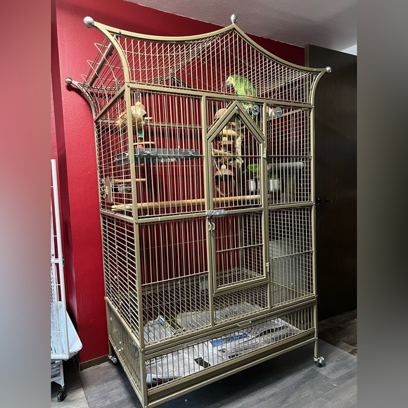 Meet your Posher, Kristi - Picture 14 of 17